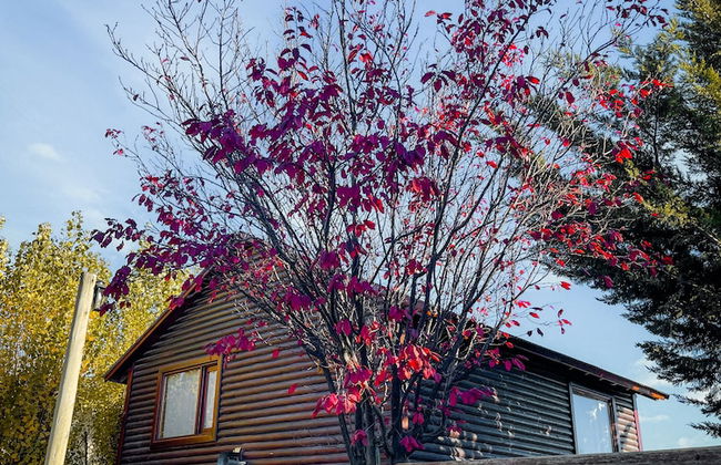 Paraiso Patagonico Bungalows and Apart - Photo 28