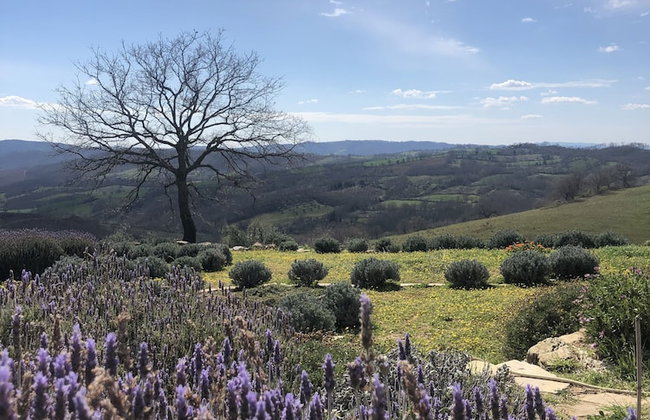 agriturismo Poggio Monte Saturnia - Foto 103