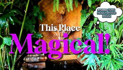 HOLLYWOOD HILLS JETLINER VIEWS at STUDIO 1080 HOLLYWOOD - Foto 5, Garden