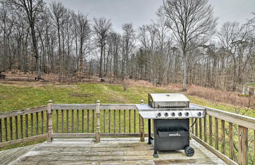 Otego Home w/ Hot Tub: Near All Star Village! - Foto 21