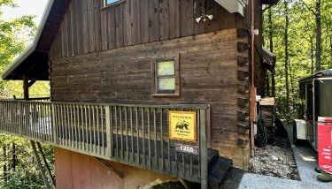 Bears Among Us - Foto 3