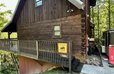 Bears Among Us - Foto 3