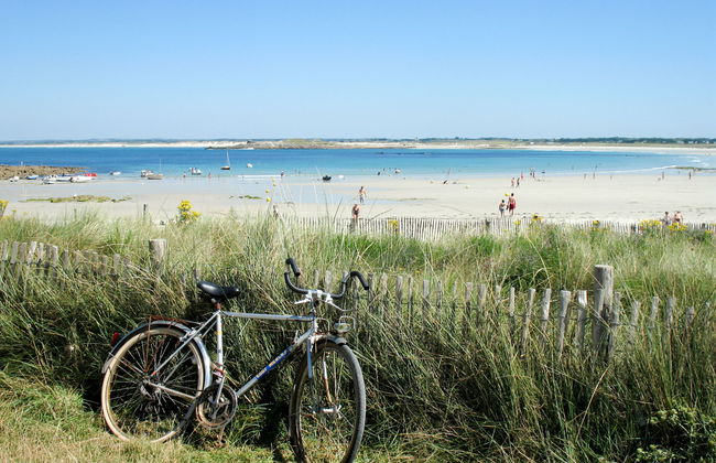 Ty Martelod - Foto 30