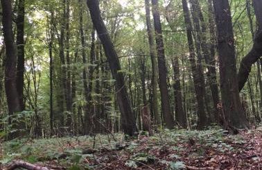 Dom z jacuzzi & tarasem całoroczny do 10 osób DOM NA PROMOWEJ - LAS, Zator - Photo 30