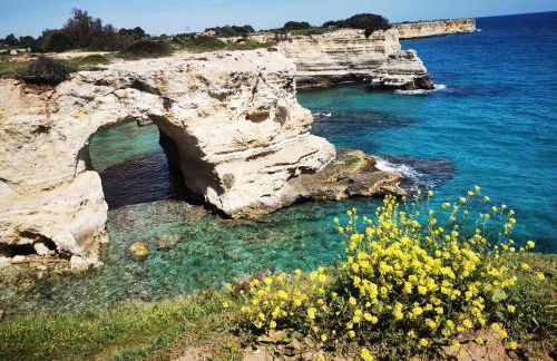 Villa Mios - Foto 75