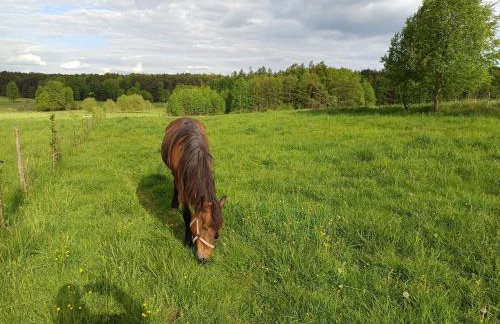 Jura - Chata pod Grodziskiem Pańskim - Foto 10