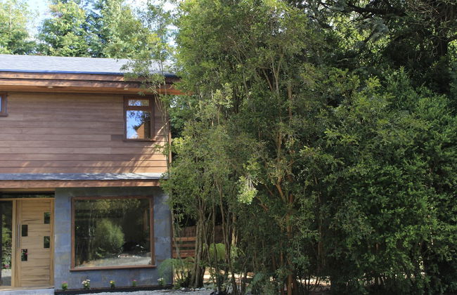 DreamWoods - Foto 33