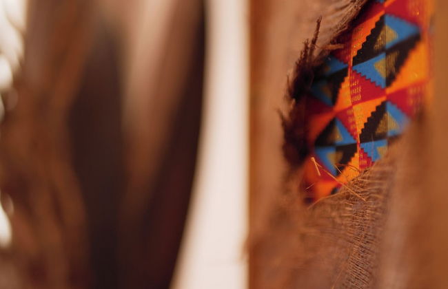 Coco Soley - Photo 11