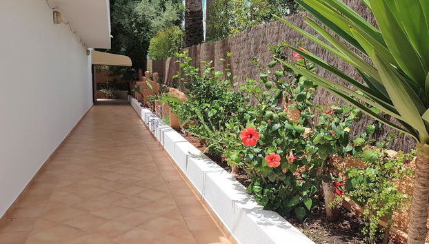 Apartamentos Bossa Bay Mc Apartamentos Ibiza - Foto 4