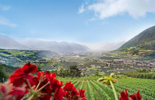 Unterötzbauerhof - Fewo Rosenblick - Foto 17