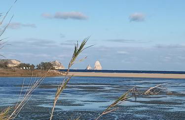 NIUMAR Acogedor apartamento muy luminoso con terraza - Photo 25