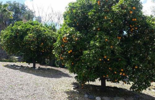 Castlegate Guest Apartment - Foto 20