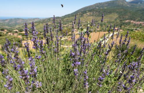 Agriturismo Dispenza - Foto 120