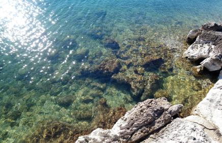 Casa Bozzero - Photo 73