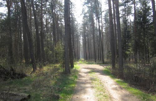 Boardinghouse Wittenberg - Foto 43