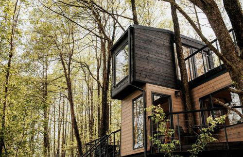 Dziki Las - domki na drzewach - Foto 20