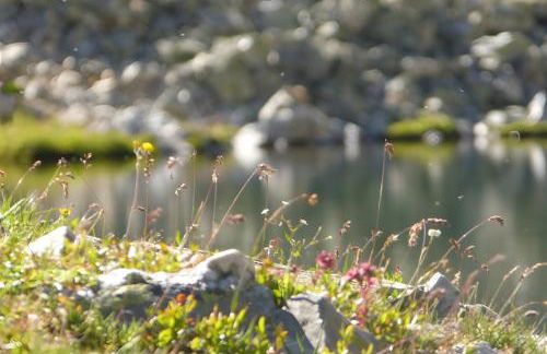 Chalet Refuge Loup Blanc Valfréjus - Foto 40