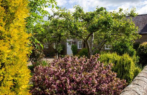 Balgavies Home Farm - Cottage - Photo 25