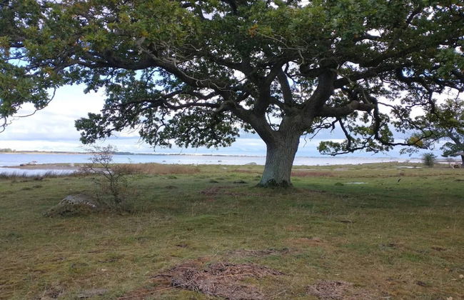 6 Person Holiday Home in Kettinge - Foto 19