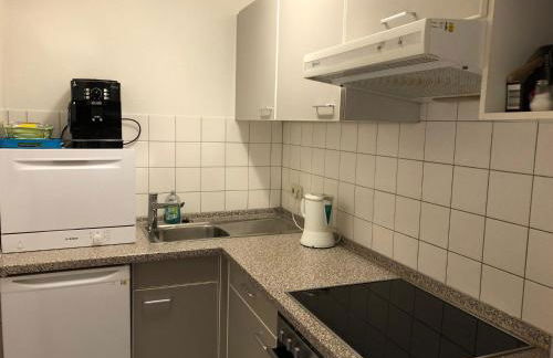 Ferienwohnung Hochschwarzwald - Foto 17