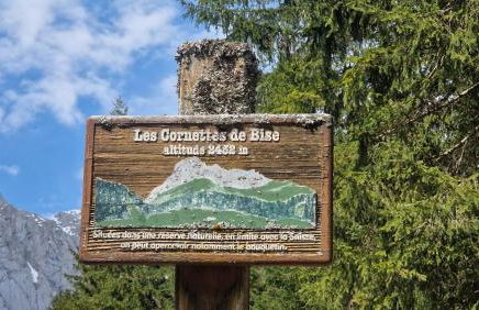 Apt A04 terrasse, village et ski à pied avec sauna, fitness et tennis - Photo 47