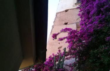 le case dei fiori - Foto 62