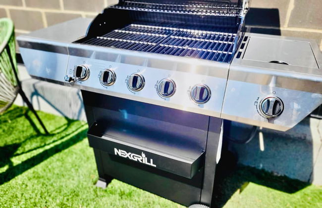 Liv MTL - Plato - Foto 69