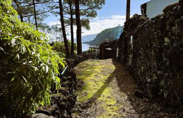 Adega Baía Azul - The essence of Pico - Photo 21