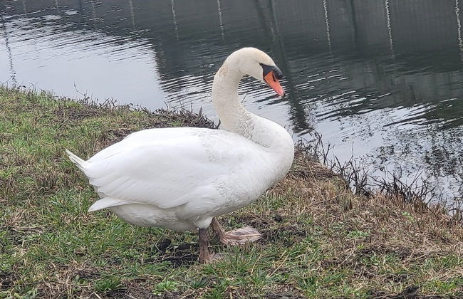 OzaBonair Vierzon Centre Ville - Foto 40