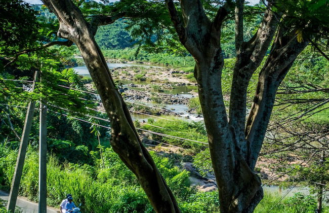 Riverine Cascade - Foto 23