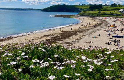 'Shorebird' central apartment, sea views & parking - Foto 6