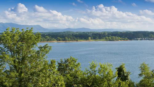 Wonderland Cove by Jackson Mountain Rentals - Foto 5