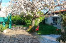 Stone Yard - Photo 17