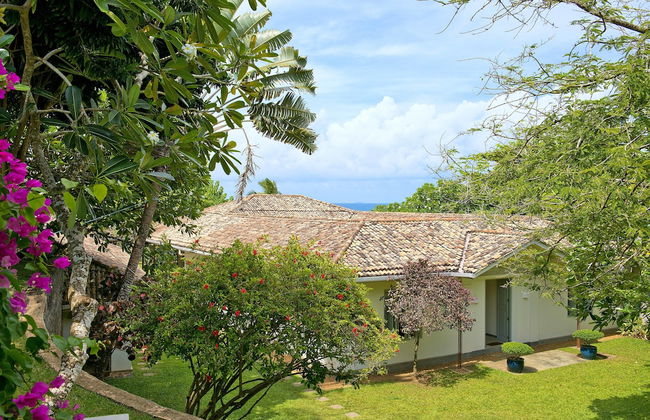 Suriyawatta - Photo 43