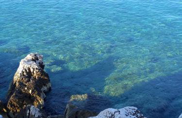 Buntin Apartments - Photo 27