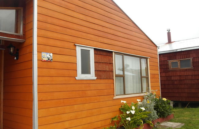 Cabañas Treng Treng - Foto 30