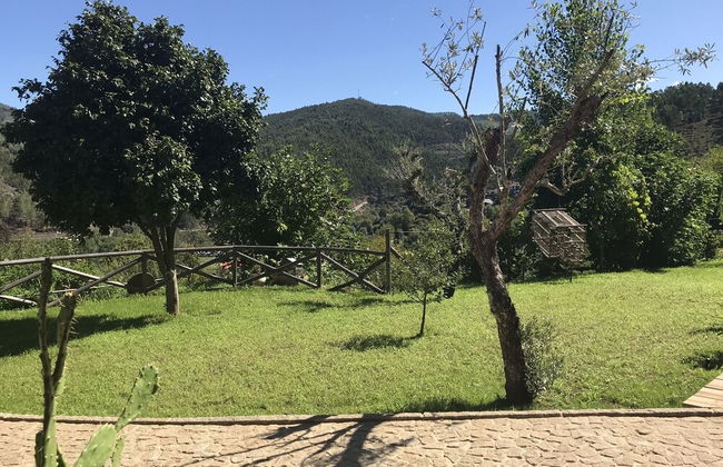 Feel Discovery Passadiços Paiva - Foto 19