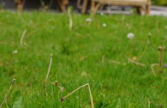 Cozy house with courtyard - Foto 22