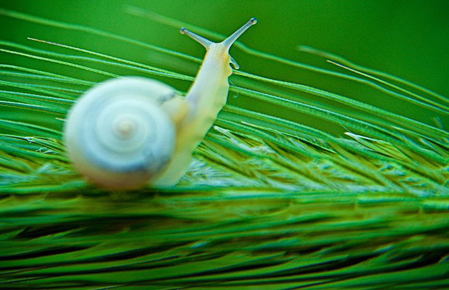 Il tuo tour fotografico e workshop su misura a Roma - Foto 8