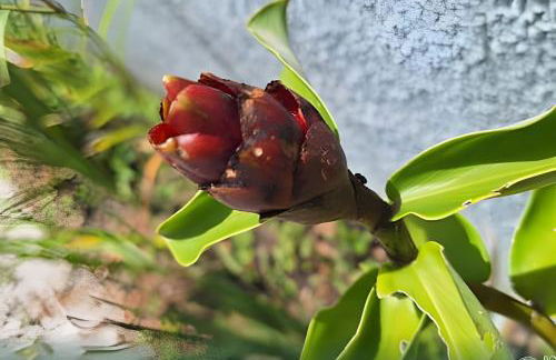 Refúgio - Flats Residence - Foto 23