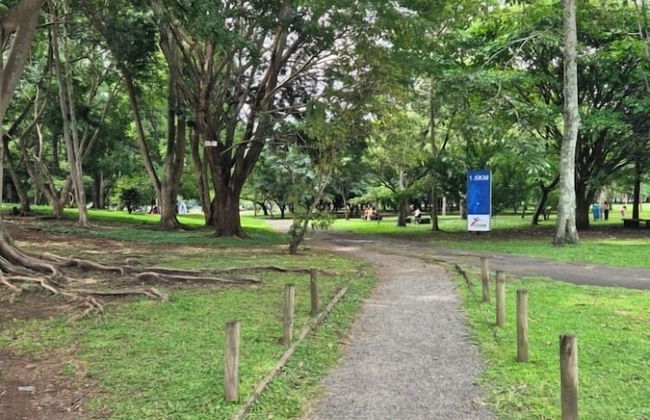 Sabana Studios - Foto 48