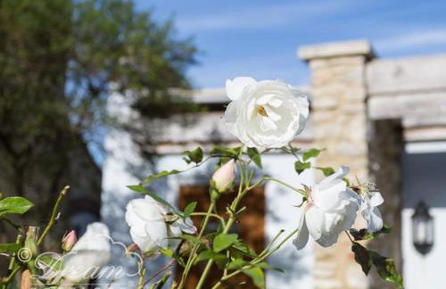 Blueberry Cottage - Foto 17