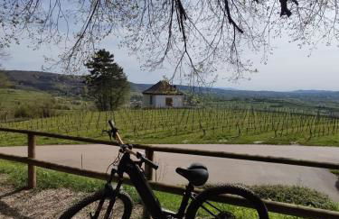 Appartement Sulzbachtal in Lahr, Nähe Europapark, Nähe Rulantica - Foto 7