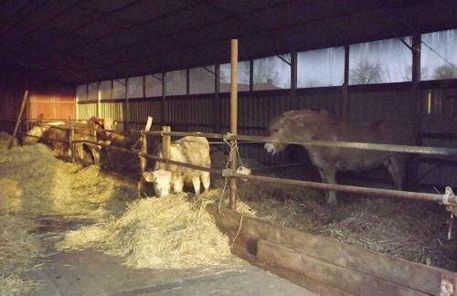 at the Gau family's home in Poggenhof - Foto 7