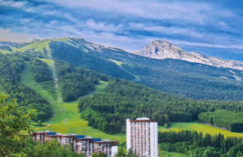 Un air de Bretagne à la montagne-STUDIO AVEC BALCON - Foto 11