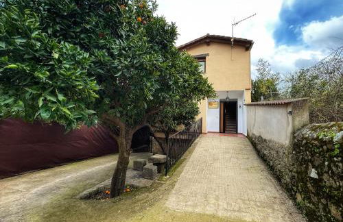 Los Naranjos de Jerte - Foto 22