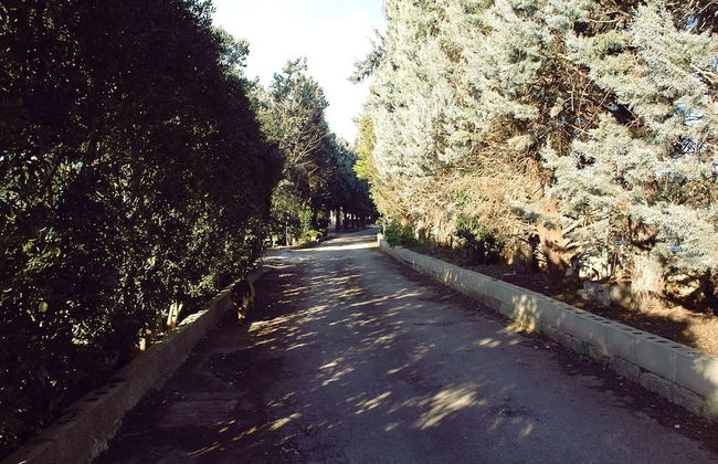 Defabrivillage - Photo 50