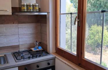 Sa domu de su beciu mare - Photo 13