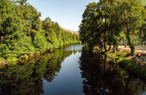 Quintinha Viçosa - Foto 1