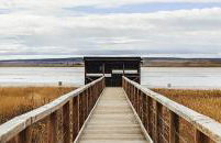 Aromas del Jiloca, la Trufa Negra - Foto 37